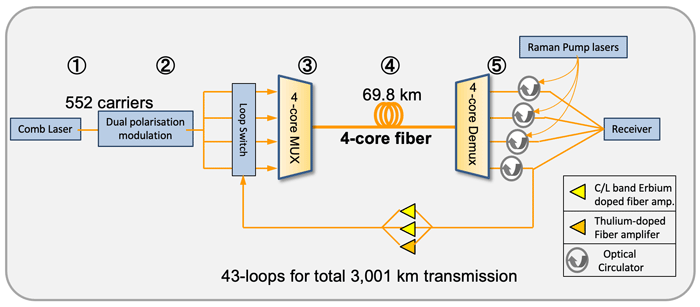 Fig. 7